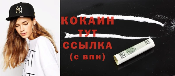 твердый Алексин