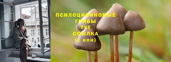 твердый Алексин