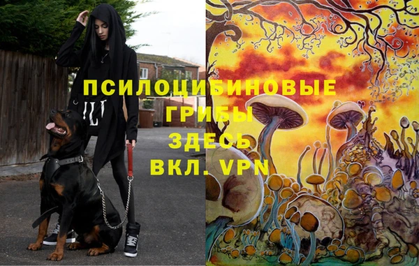 твердый Алексин
