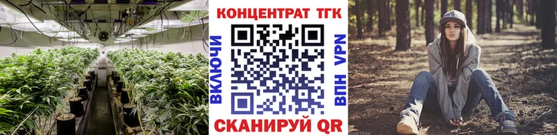 ТГК Wax  Завитинск 
