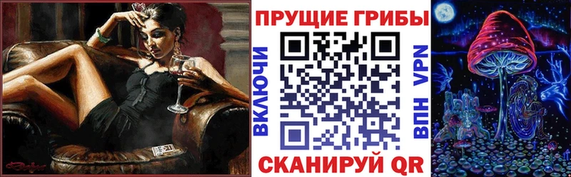 Псилоцибиновые грибы Psilocybe  как найти закладки  Завитинск 