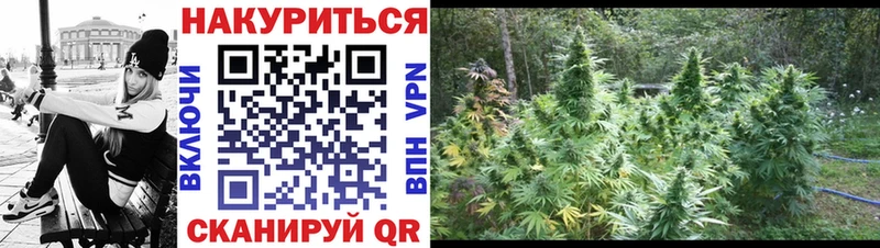 Бошки марихуана White Widow  Завитинск 